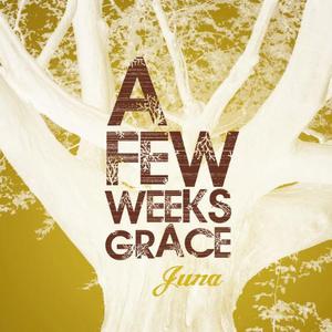 A Few Weeks Grace