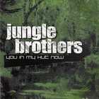 Jungle Brothers - You In My Hut Now