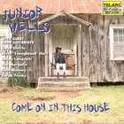 Junior Wells - Come on in This House