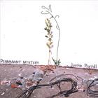justin purtill - Permanent Mystery