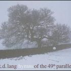 K.D. Lang - Hymns Of The 49Th Parallel