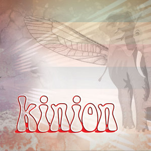 Kinion