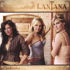lantana - Unbridled