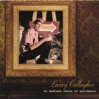 Larry Gallagher - An Endless Chain of Accidents