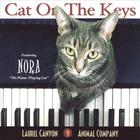 Cat On The Keys
