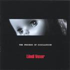 Lendi Vexer - THE PROCESS OF DISILLUSION