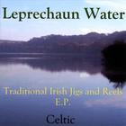 Traditional Irish Jigs & Reels EP