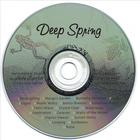 Leslie Lightfall - Deep Spring