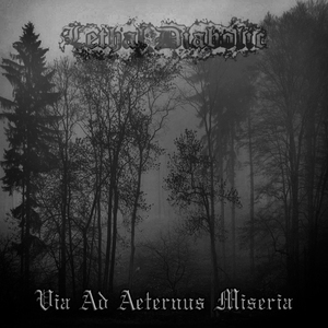 Via Ad Aeternus Miseria (Demo)