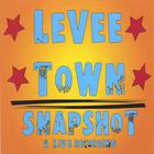Levee Town - Snapshot