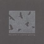 Levi Fuller - This Murder Is a Peaceful Gathering