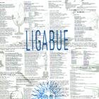 Ligabue - Ligabue