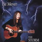 Liz Meyer - The Storm