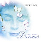 Llewellyn - Journey To Our Dreams