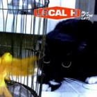 Local H - Pack Up The Cats