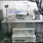 Los Lobos - Just Another Band From East L.A. CD1