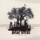 Dear Birds