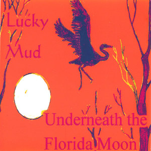 Underneath the Florida Moon