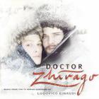 Ludovico Einaudi - Doctor Zhivago