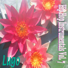 Lugo - Hip Hop Instrumentals Vol. 7