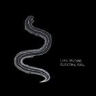 Luke Vajsar - Electric Eel