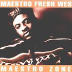 Maestro Fresh Wes - Maestro Zone