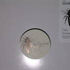 Marcus - F Bees (DDR021)-Vinyl