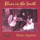 Mario Aguirre - Blues in the South