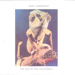 The Eye of the Chameleon