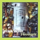 Mark Dunn - Floodgate