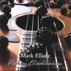 Mark Elliott - Pickin' Blackberries