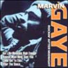 Marvin Gaye - Rockin After Midnight