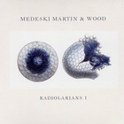 Medeski Martin & Wood - Radiolarian I