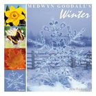 Medwyn Goodall - Winter