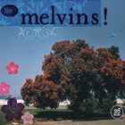 Melvins - 26 Songs