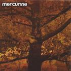 Mercurine - Waiting For Another Fall