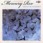 Mercury Rev - Hello Blackbird