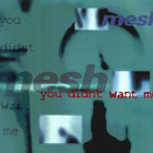 Mesh - You Didn't Want Me (CDS)