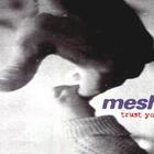 Mesh - Trust You