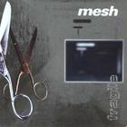 Mesh - Fragile