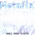 Metafix - While Mars Sleeps