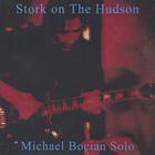 Michael Bocian - Stork on the Hudson-Michael Bocian Solo