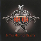 The Michael Schenker Group - In The Midst Of Beauty