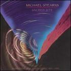 Michael Stearns - Sacred Site