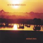 Michael Stern - Not In My Wildest Dreams