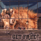 Michelle Behrenwald - Get Free!