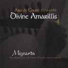 Mignarda - Divine Amarillis: Airs De Court 1570-1640