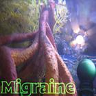 Migraine - 232 - Root System