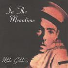 Mike Gibbins - In The Meantime