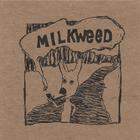 milkweed - milkweed